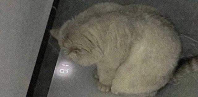 challenge background