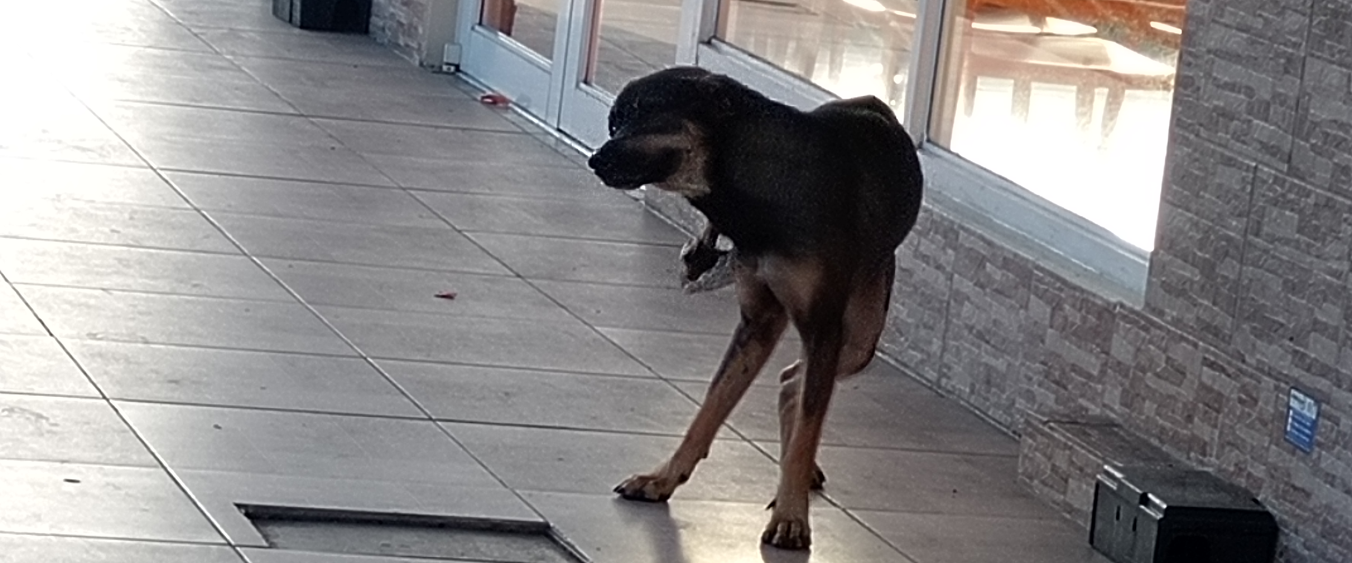 challenge background