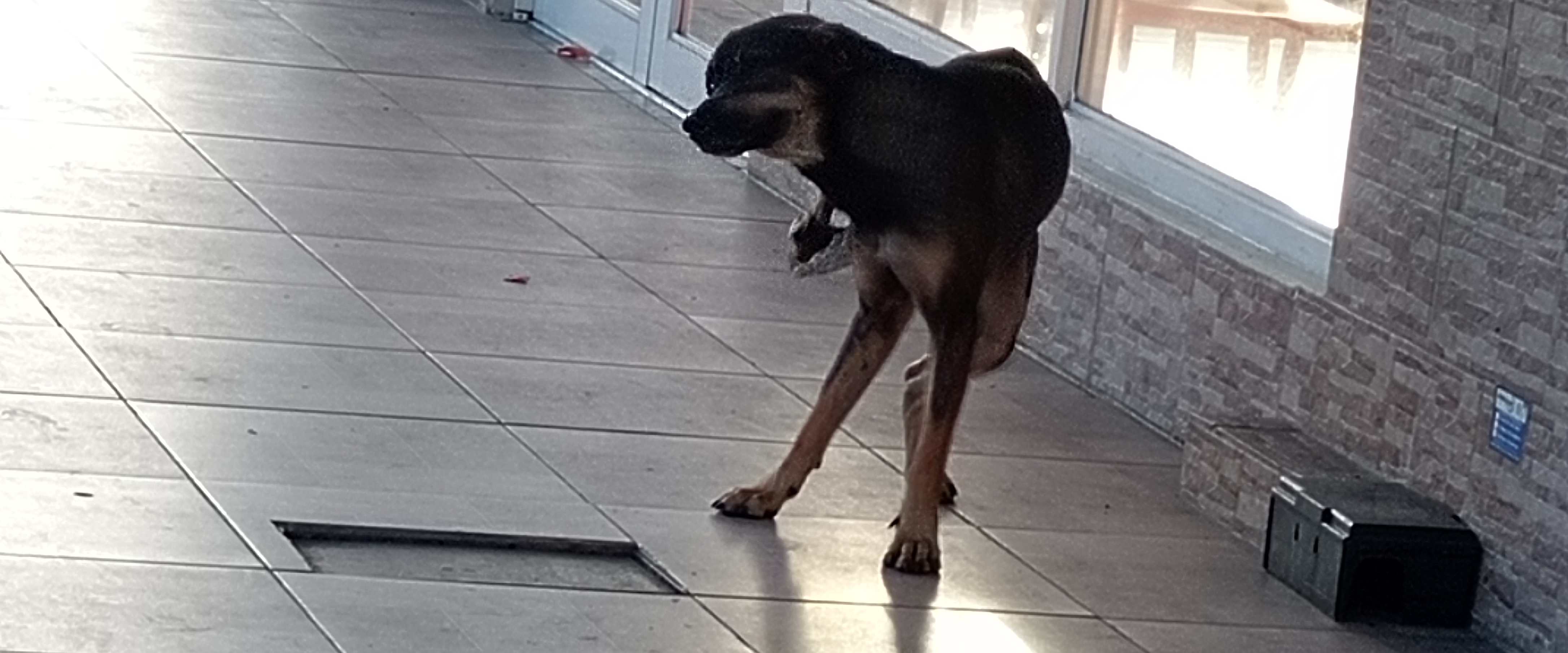 challenge background