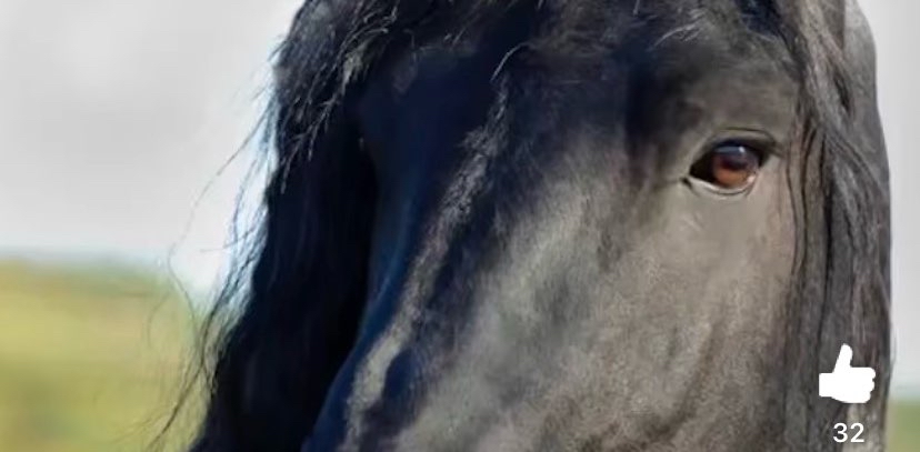 challenge background