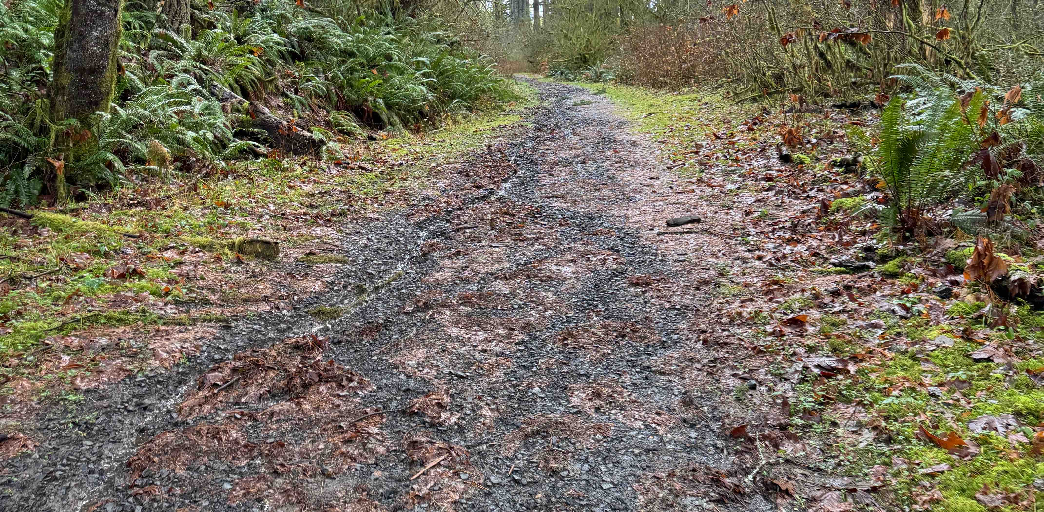 challenge background