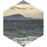 February 10000 steps around the world icon