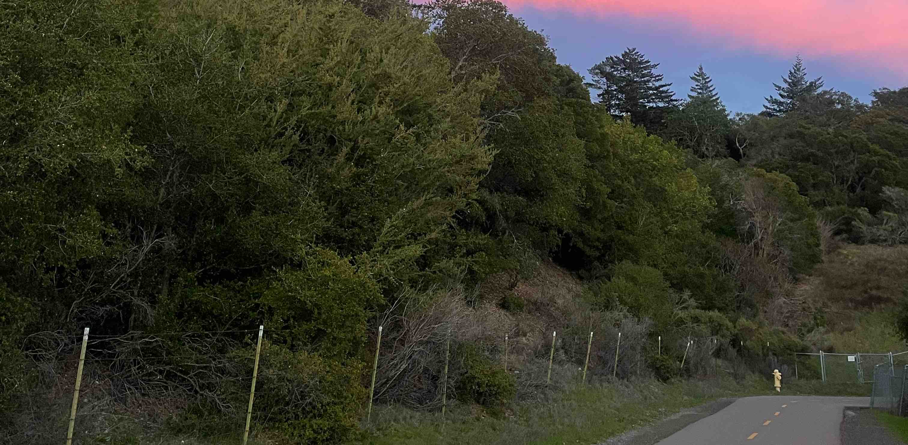 challenge background