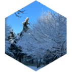 π¨οΈ The White Coat βοΈπ»ββοΈ icon