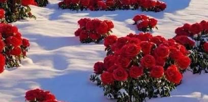 challenge background