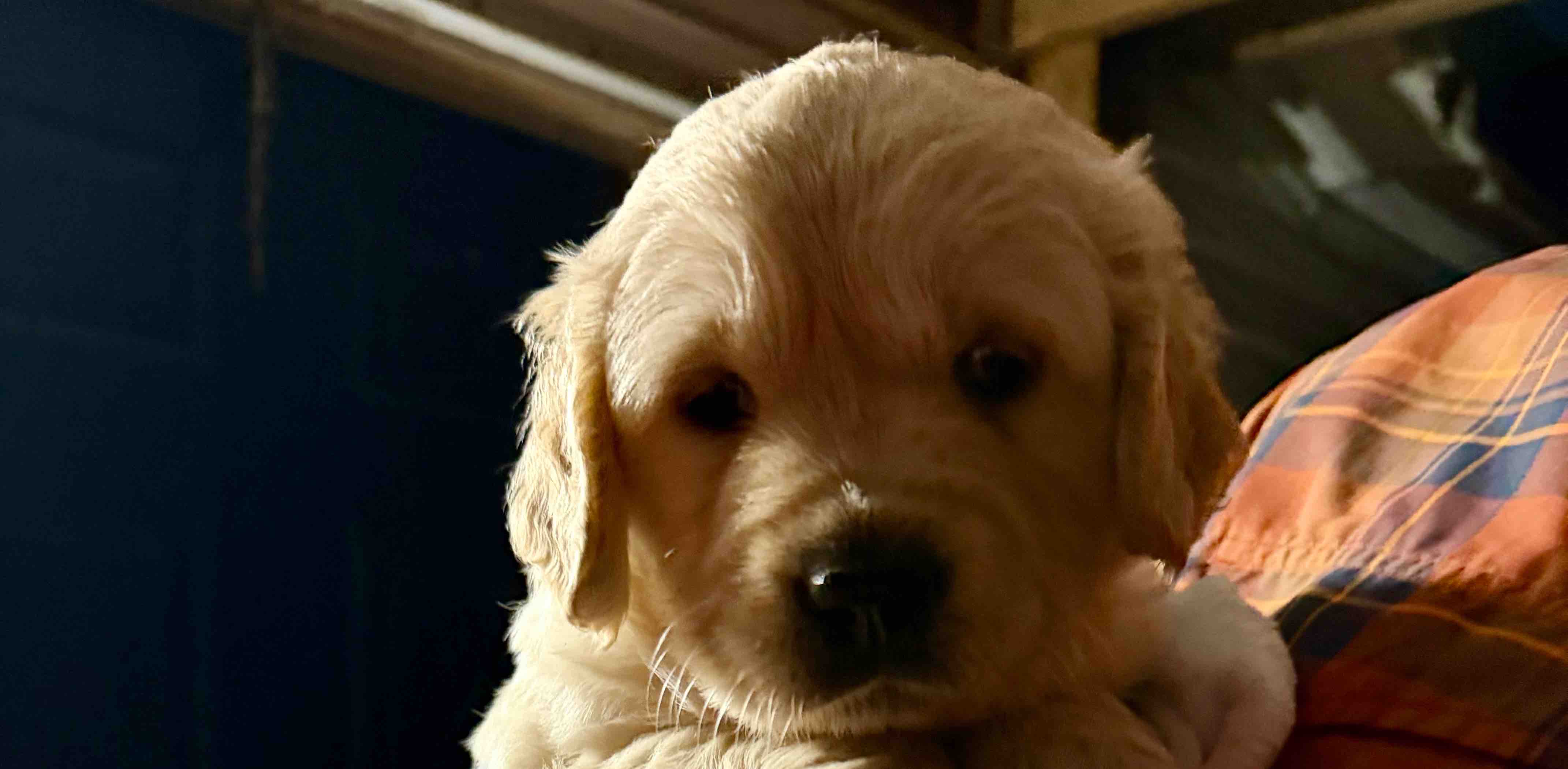 challenge background