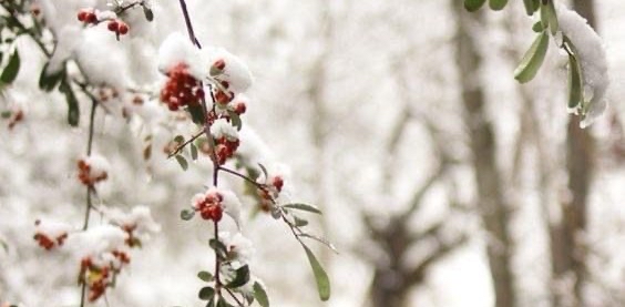 challenge background