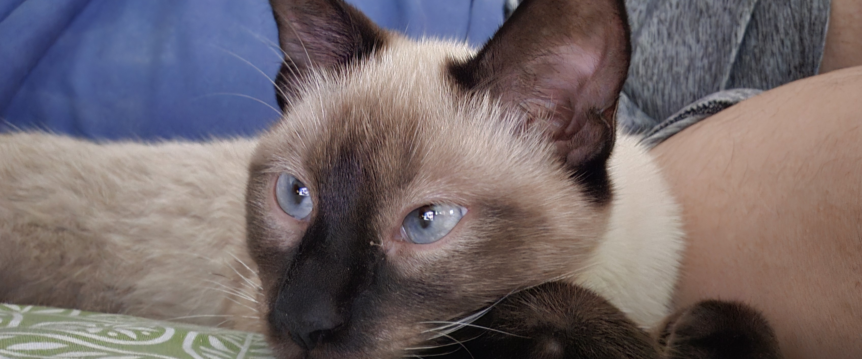 challenge background