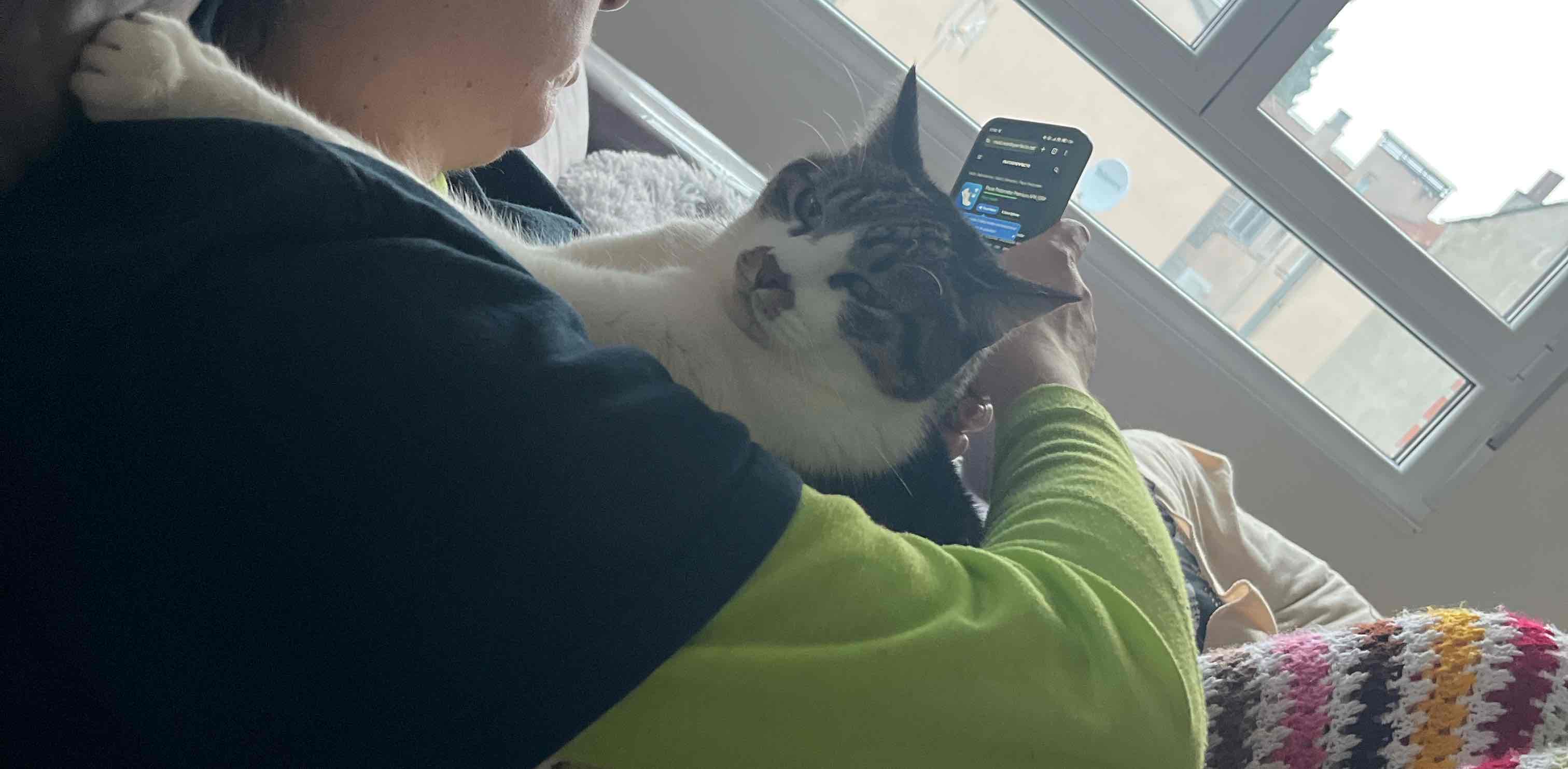 challenge background