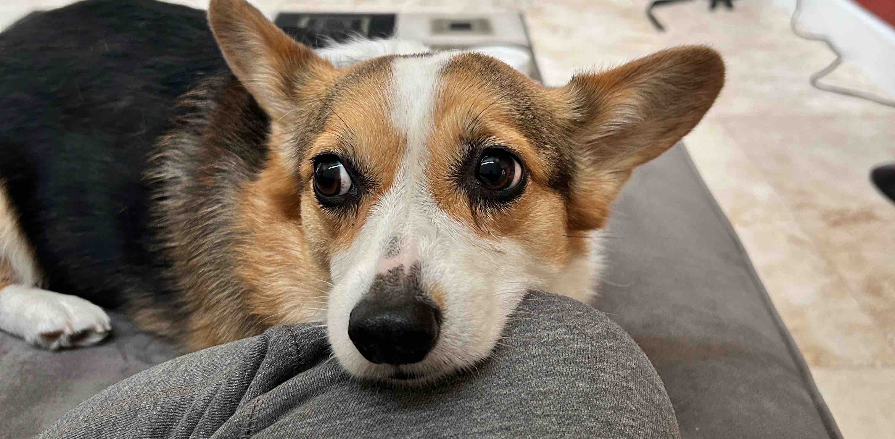 challenge background