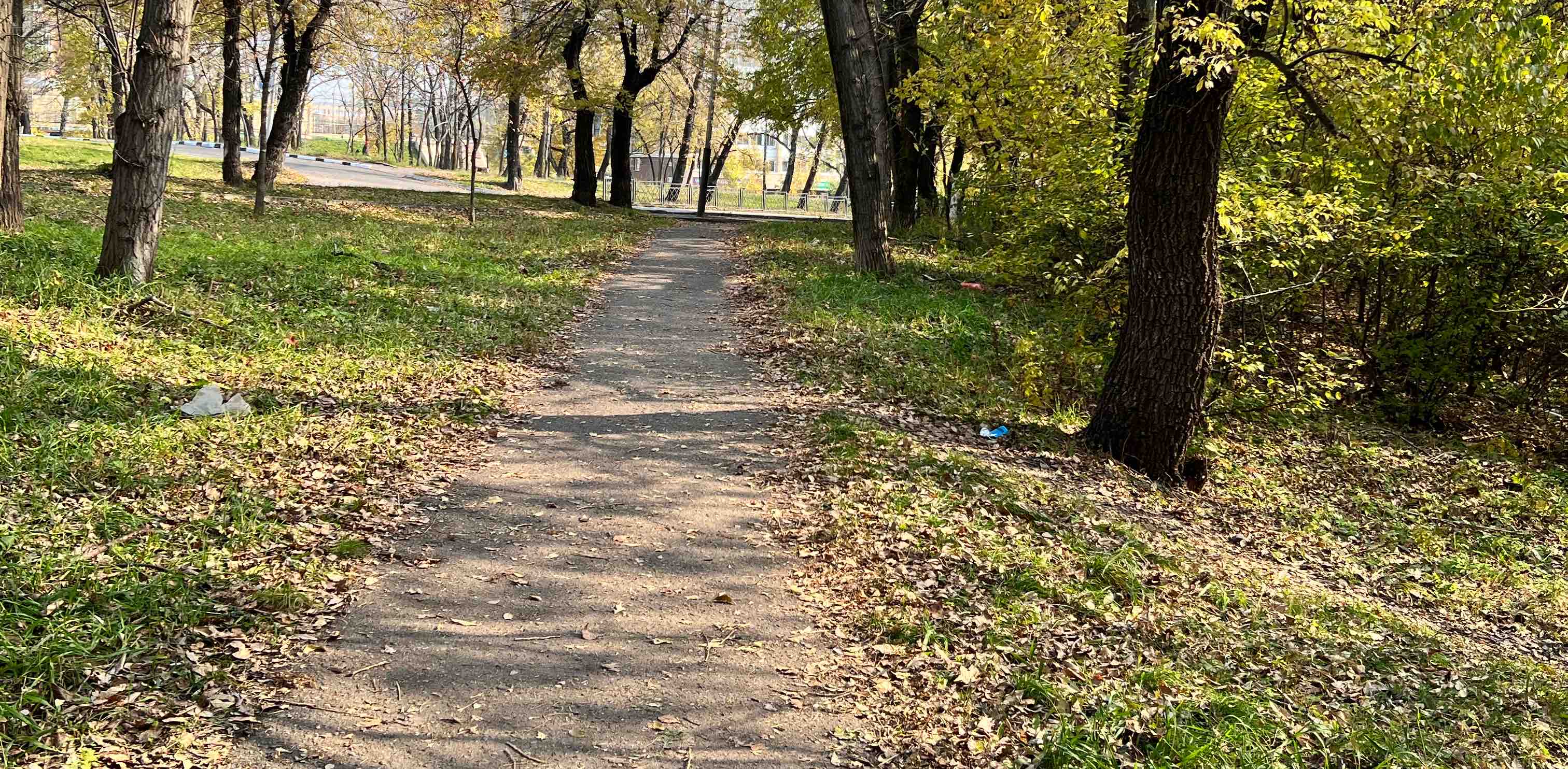 challenge background