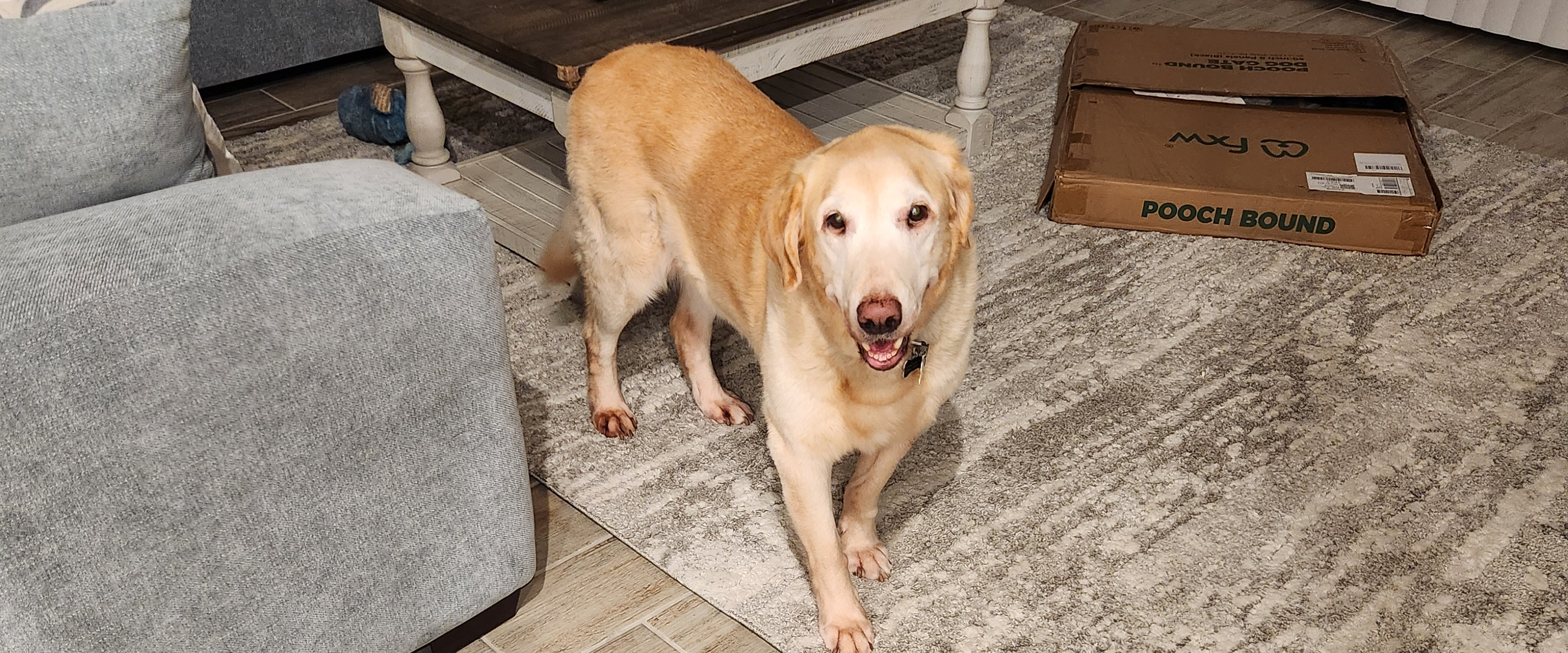 challenge background