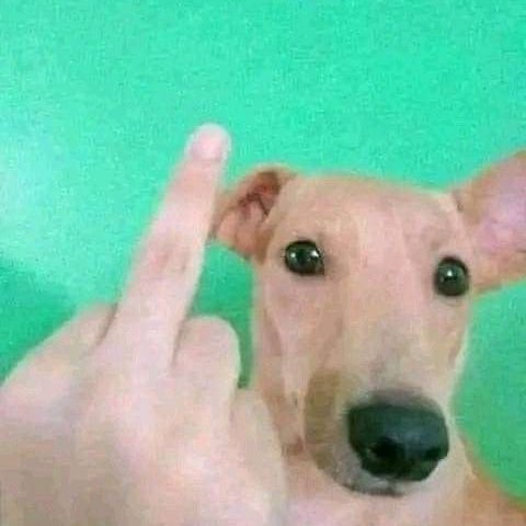 Corridas onichan logo