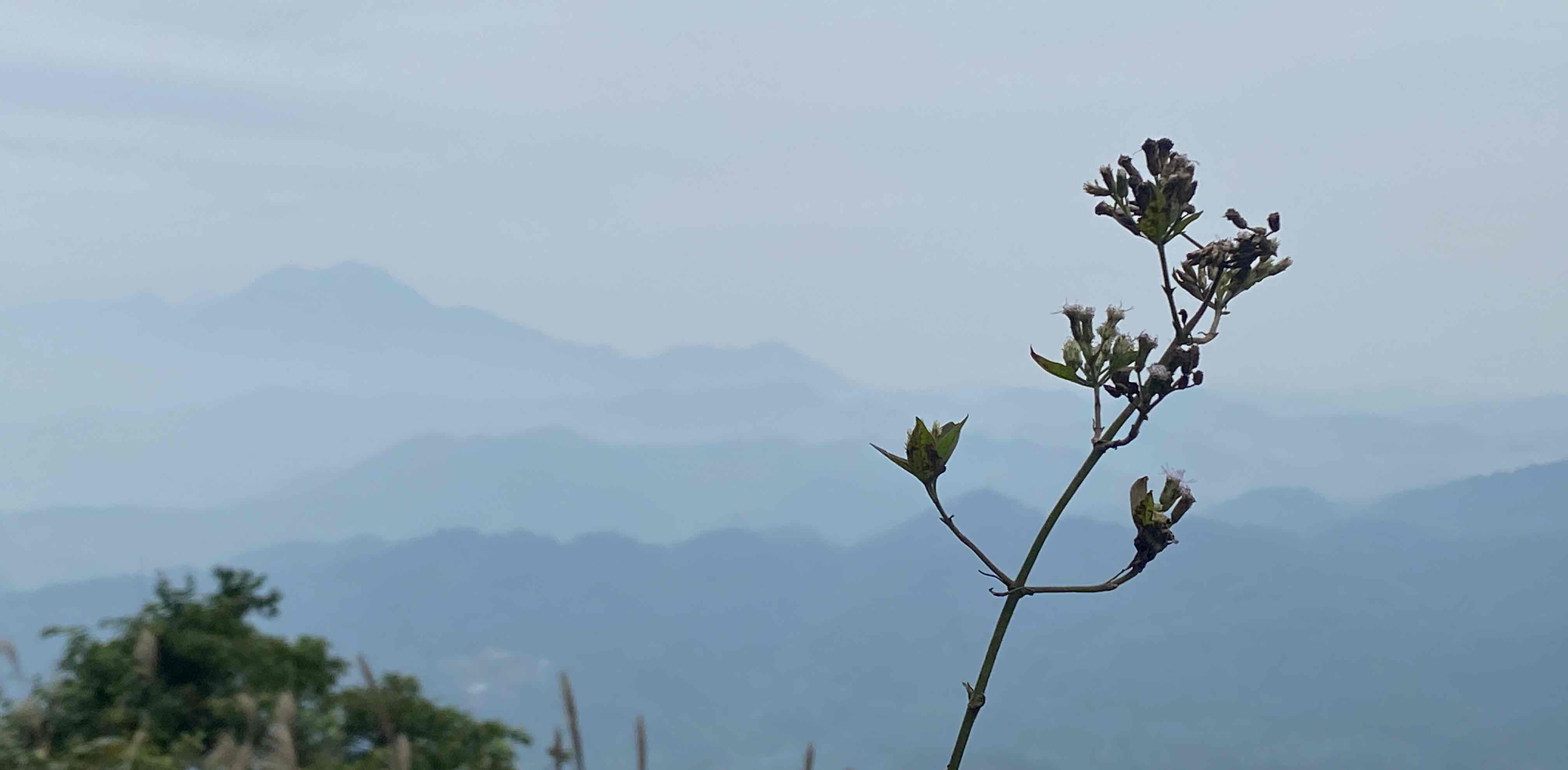 challenge background