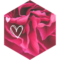 Valentine’s Day Group- 14,000 Daily icon