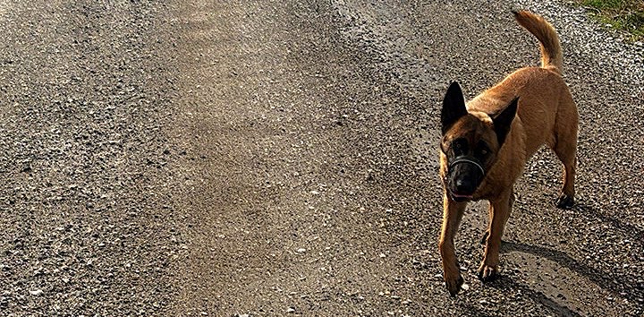 challenge background