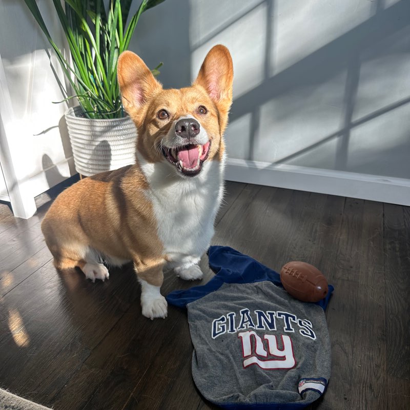 One Med at Jane logo