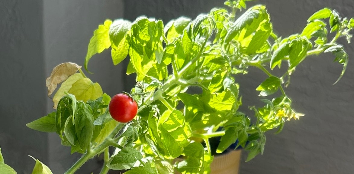 challenge background