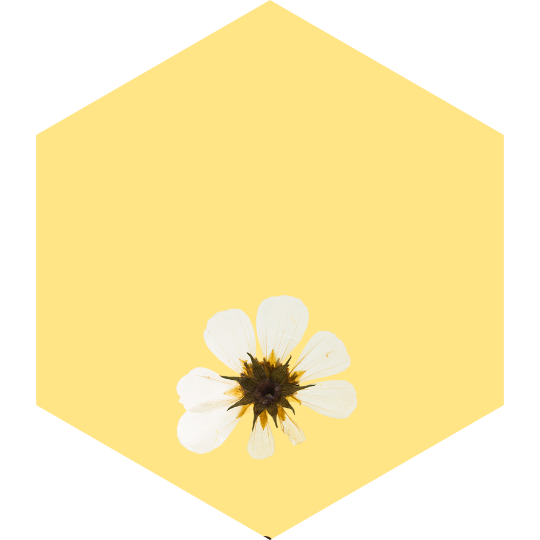 challenge badge