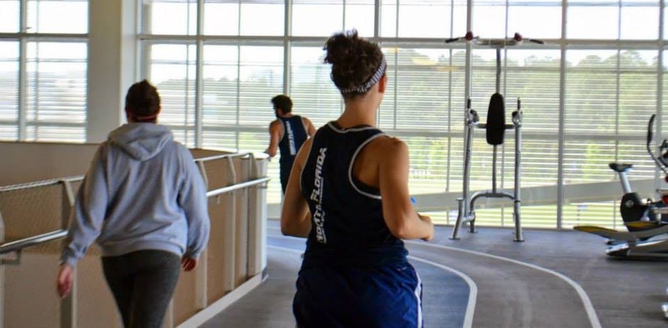 Ospreys on the Move 2026 logo