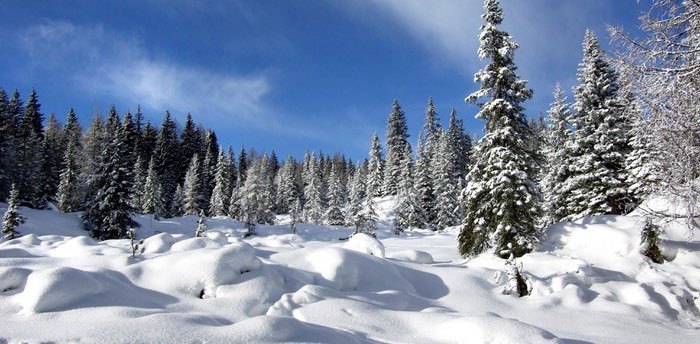 challenge background