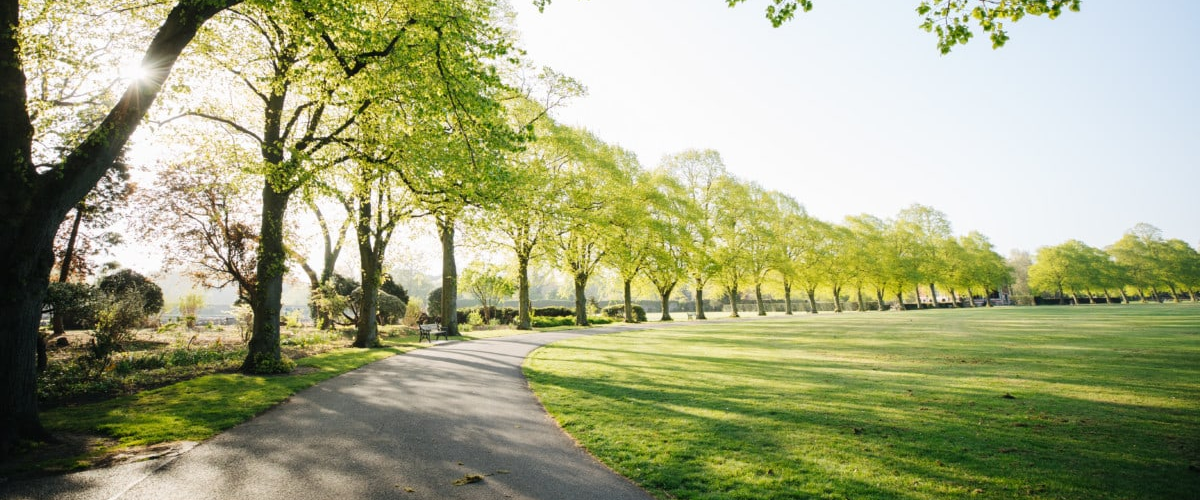 challenge background