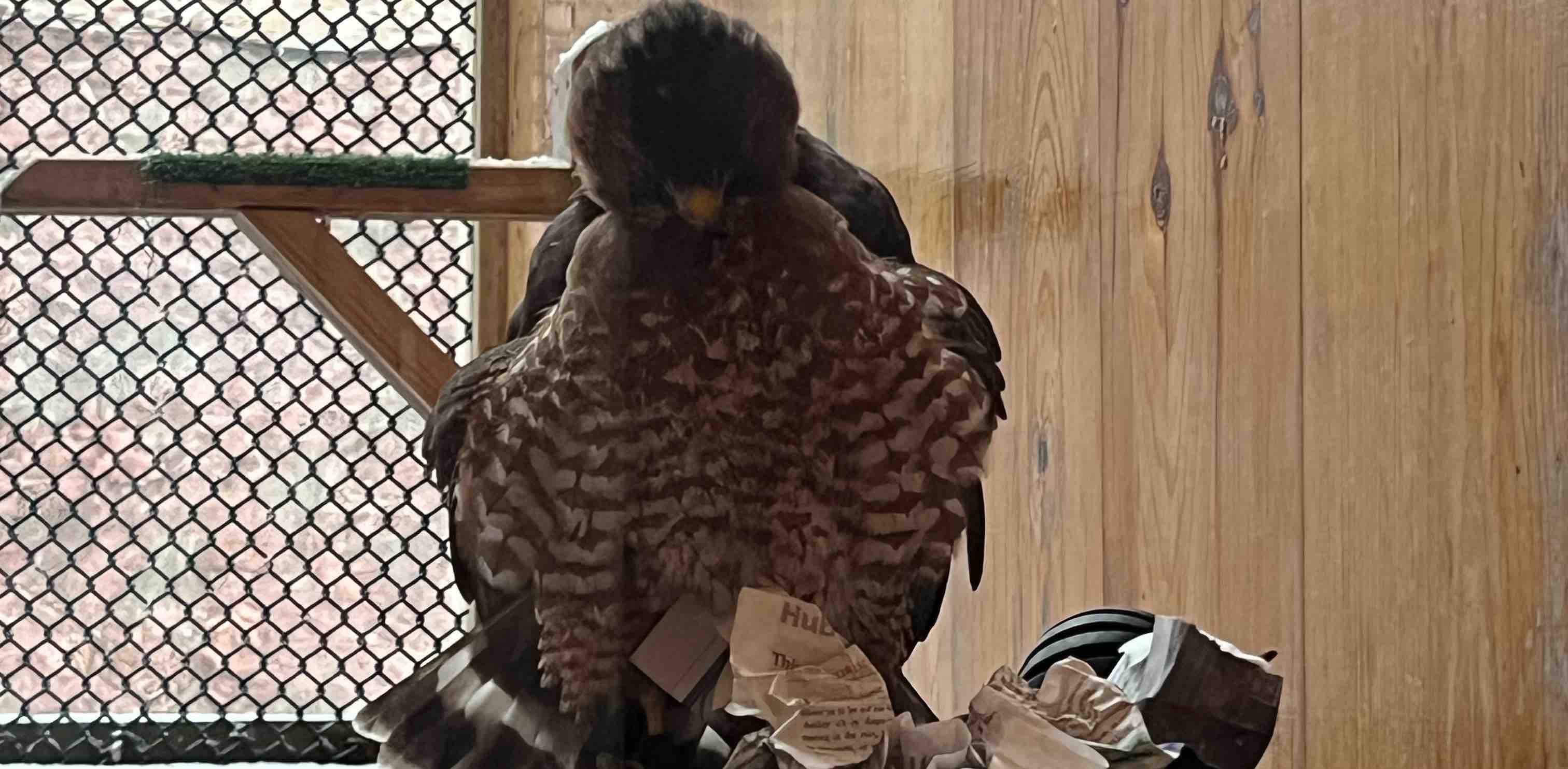 challenge background