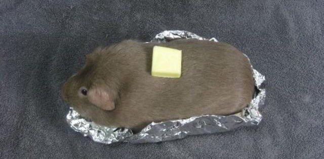 challenge background