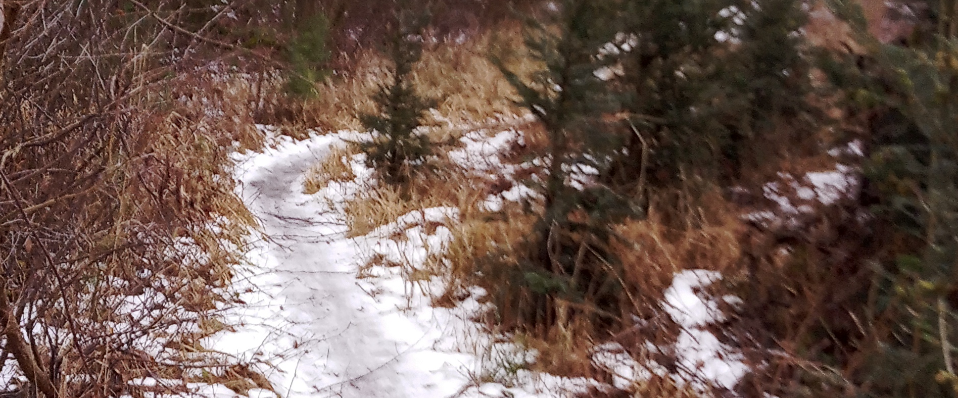 challenge background