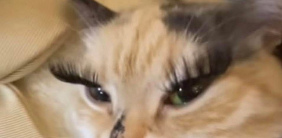 challenge background