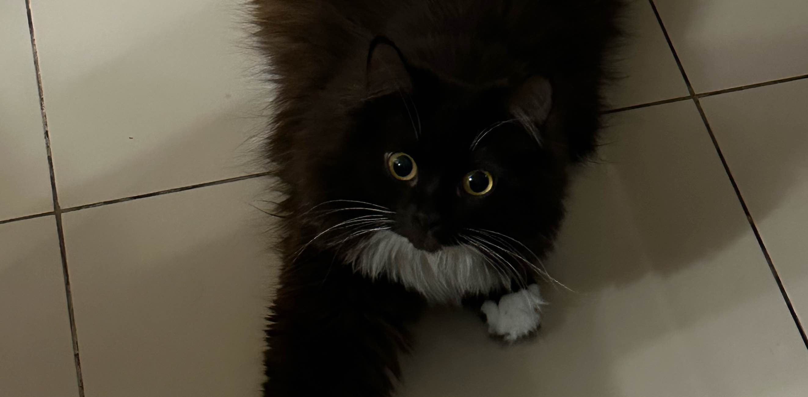 challenge background