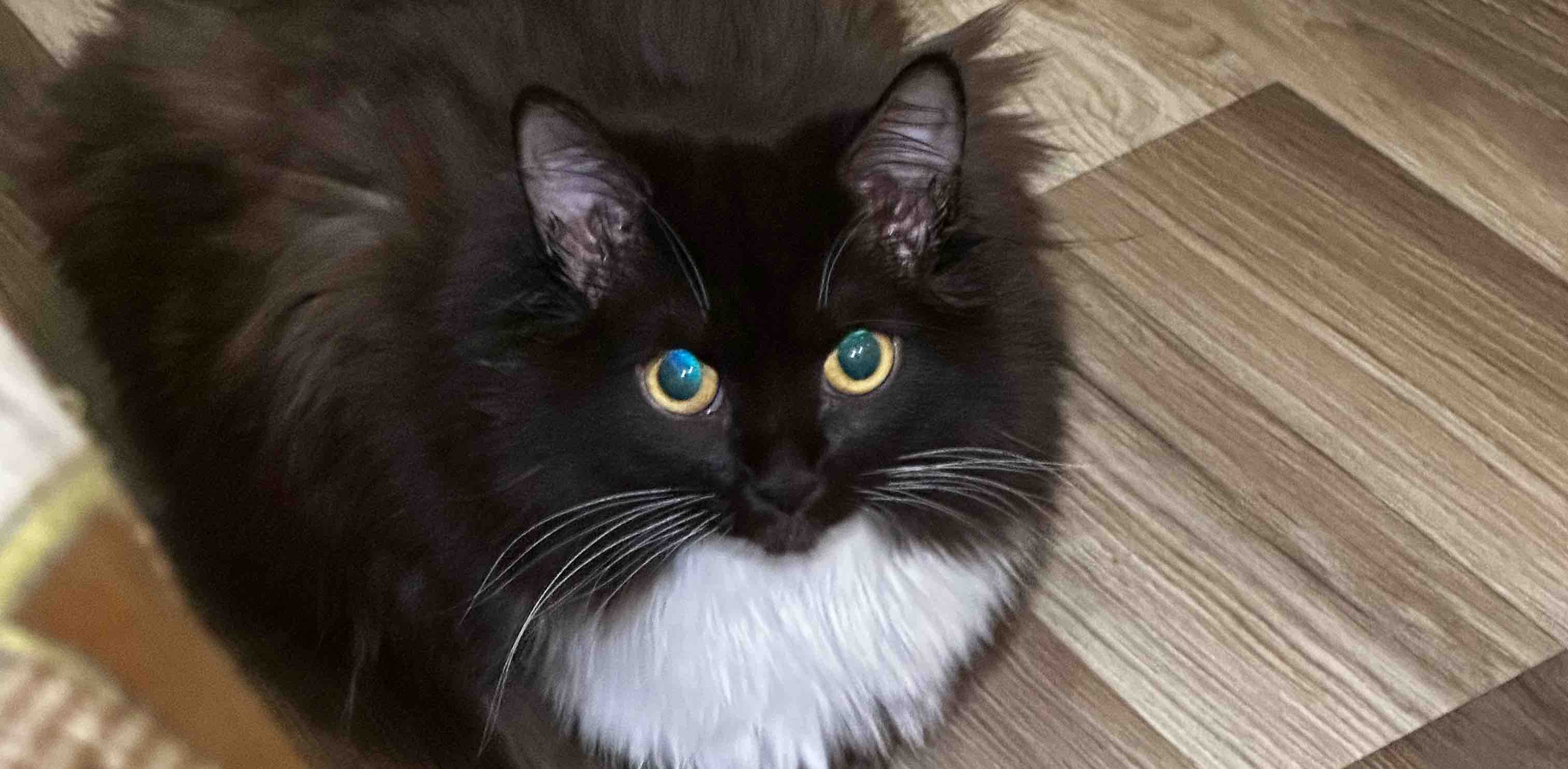 challenge background