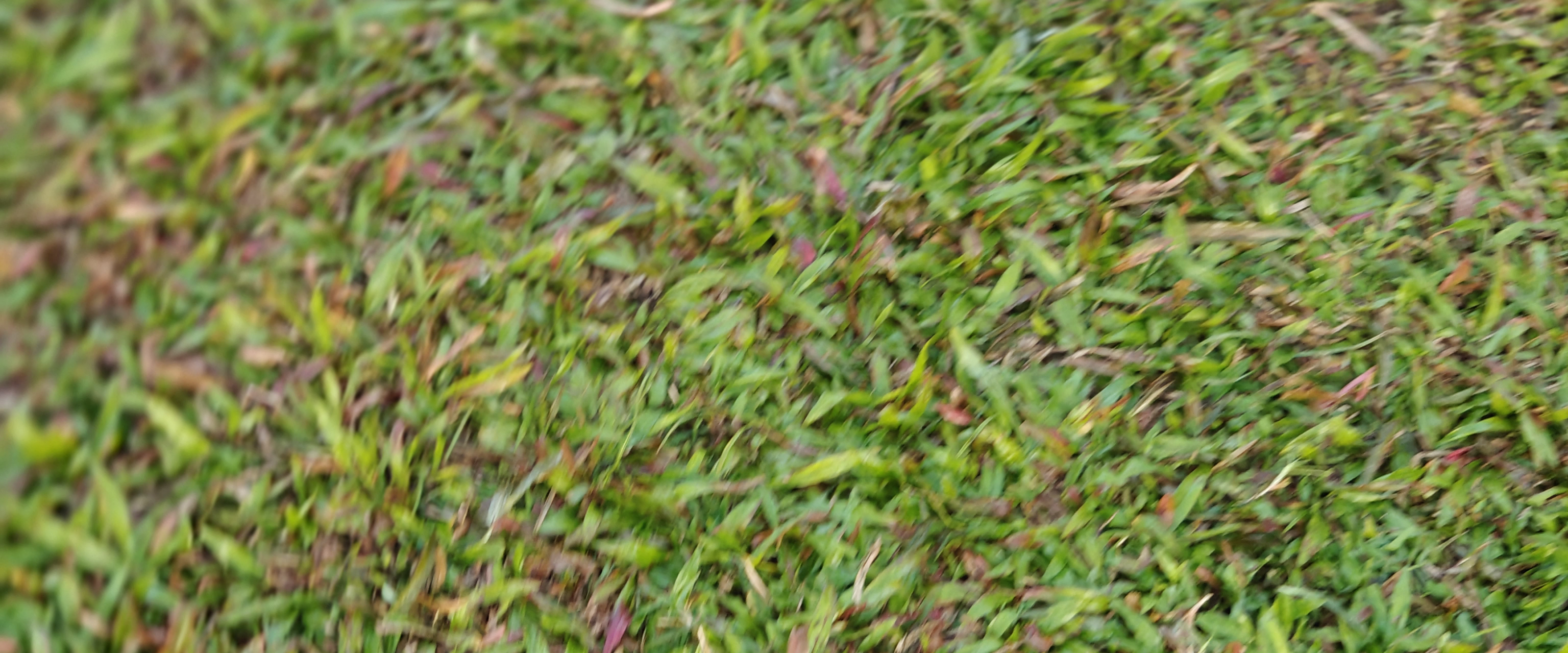 challenge background