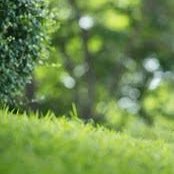 Bassett Brigade Steps 2026 logo