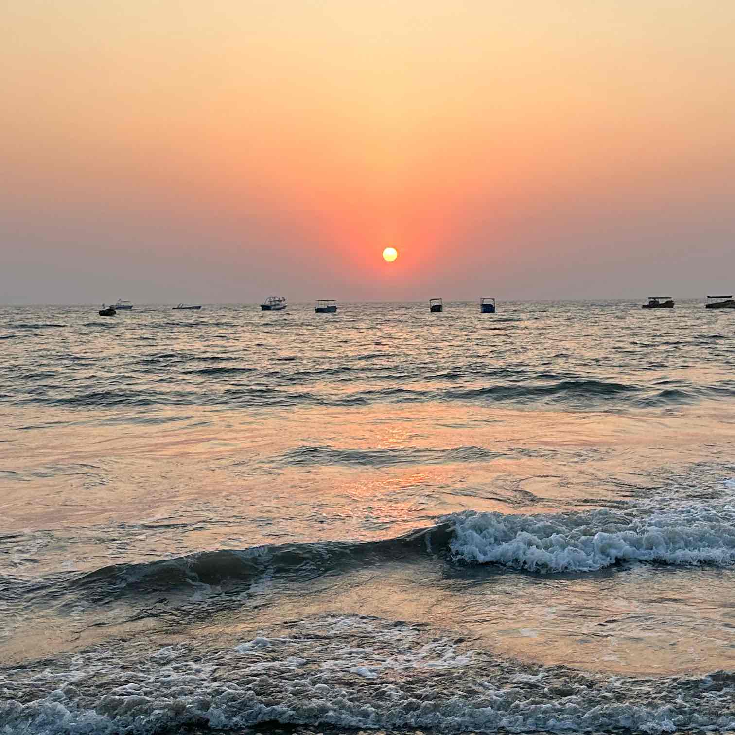 Everyday Better logo