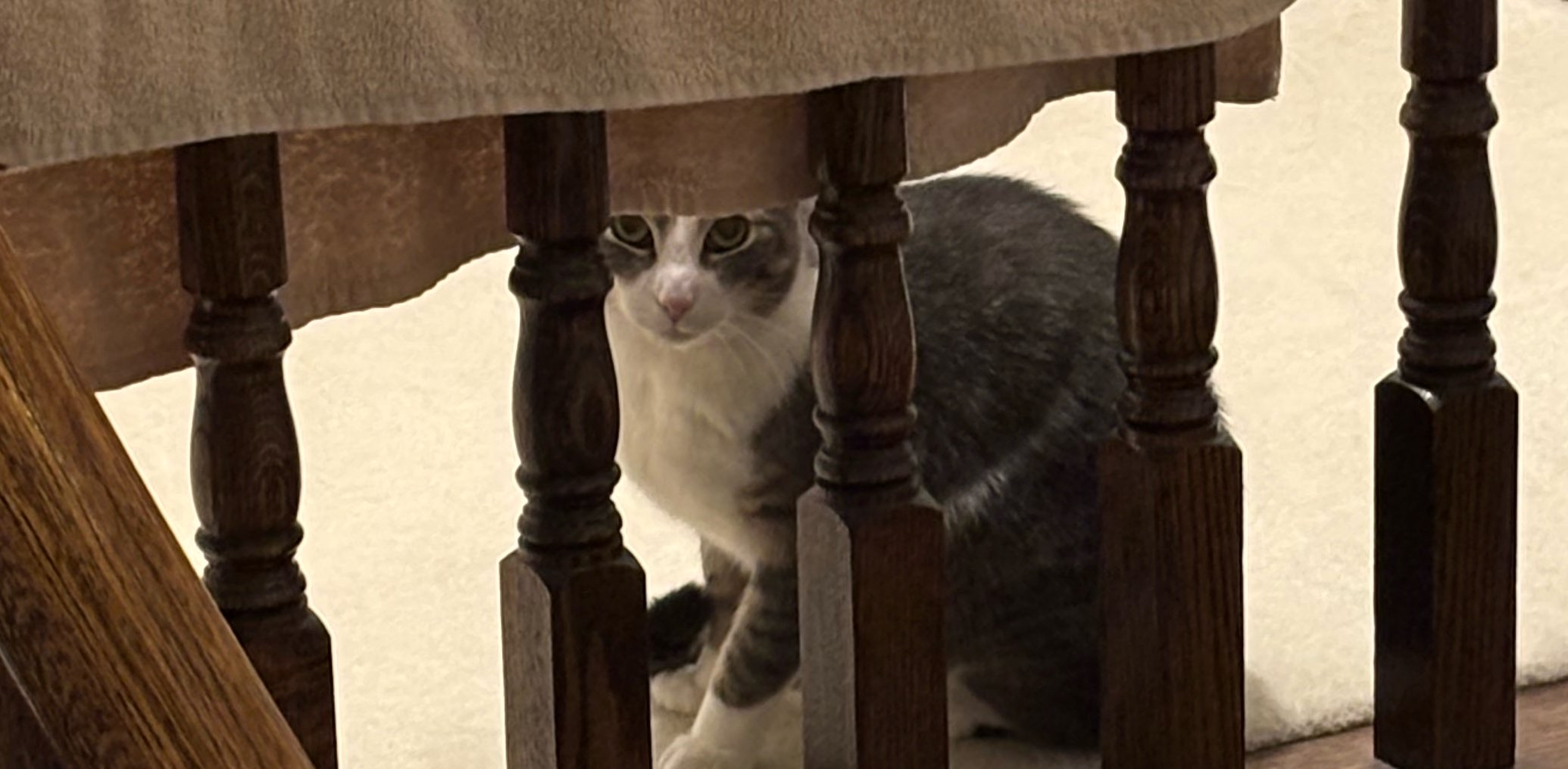 challenge background