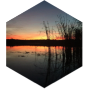 8K steps Challenge icon