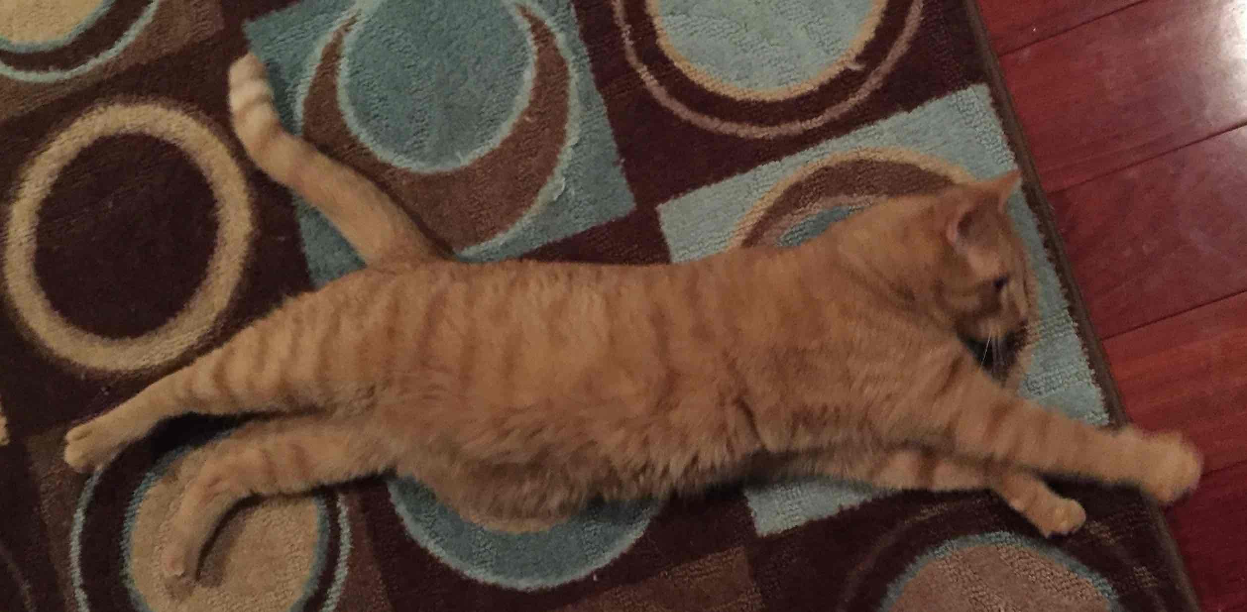 challenge background