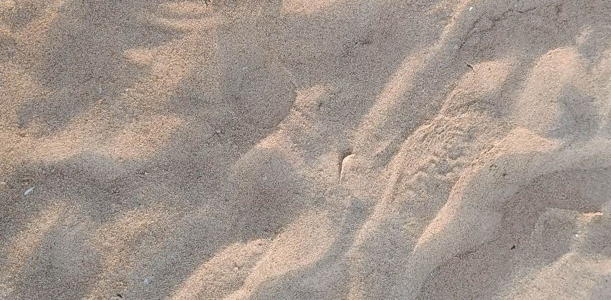 challenge background