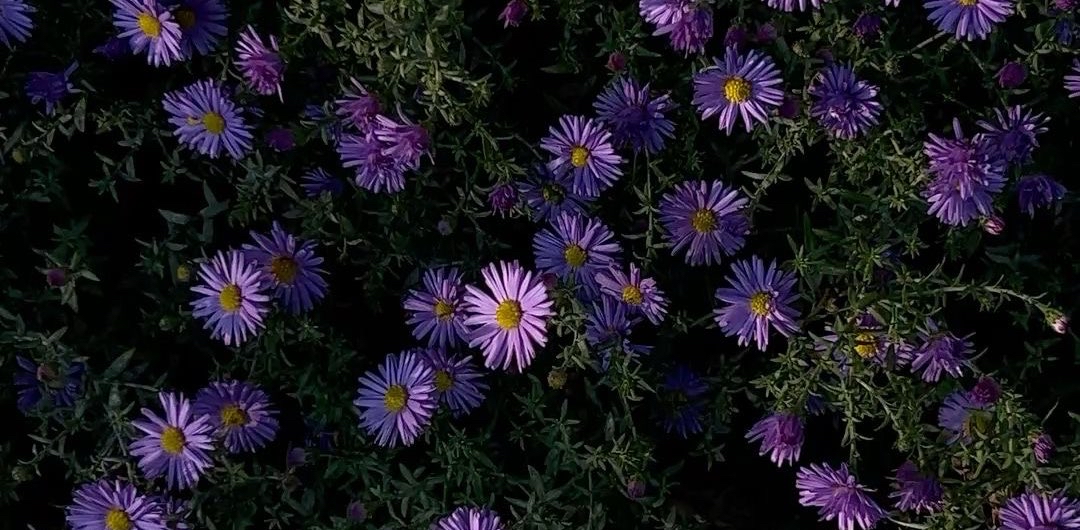 challenge background