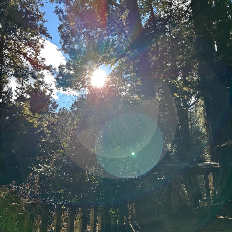 50歳からの運動クラブ logo