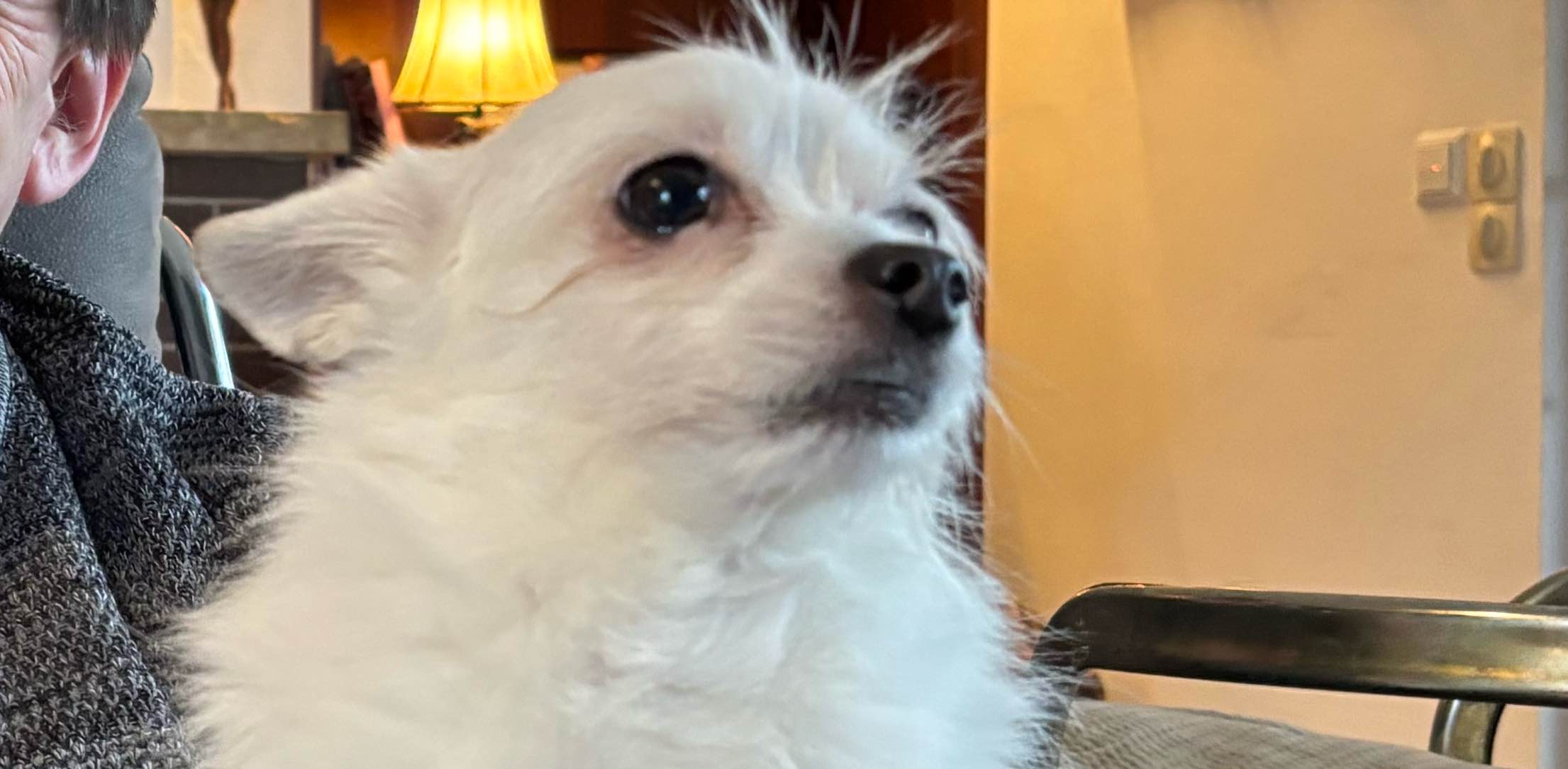 challenge background