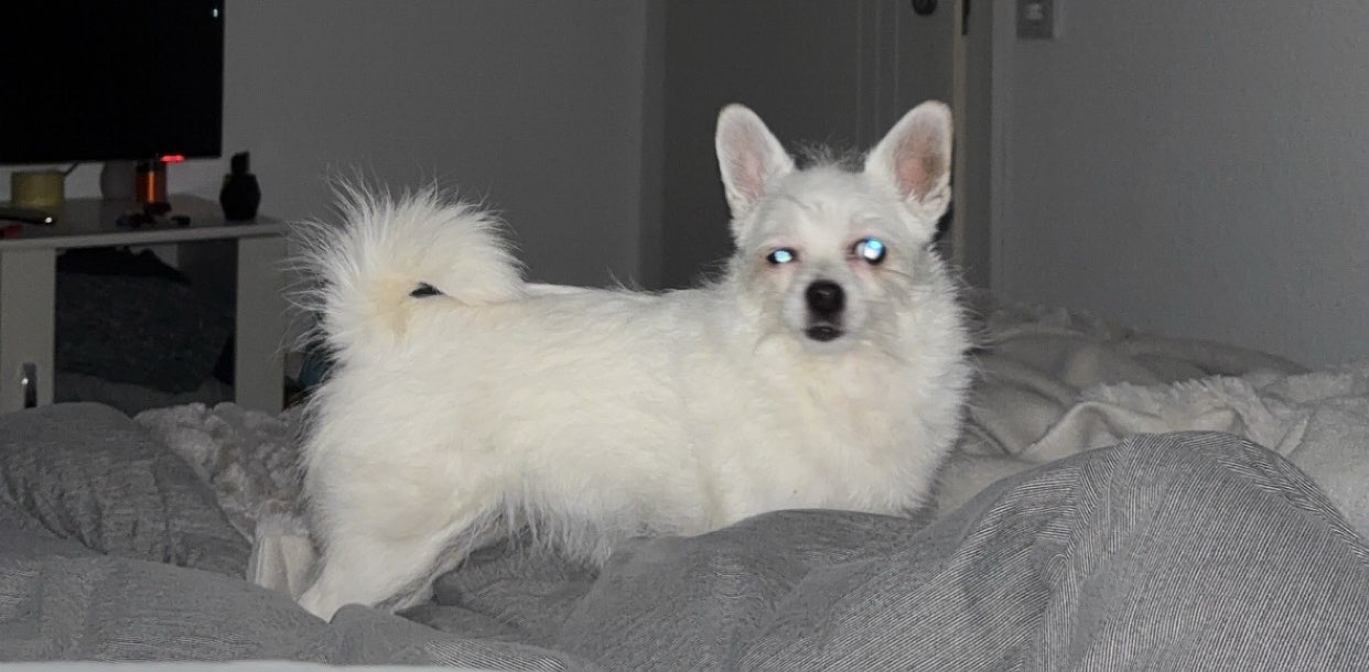 challenge background