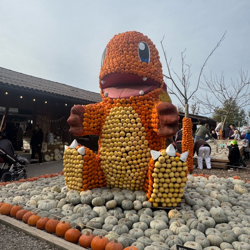 Pokemon Go walking logo