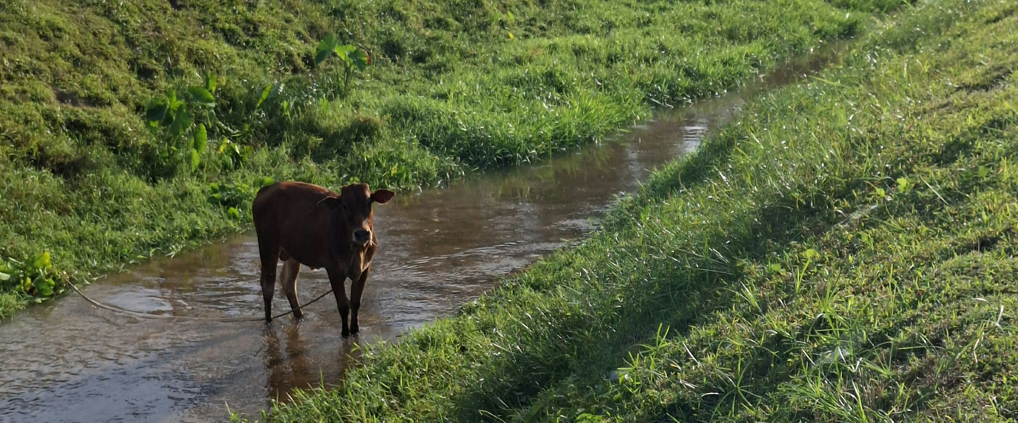 challenge background