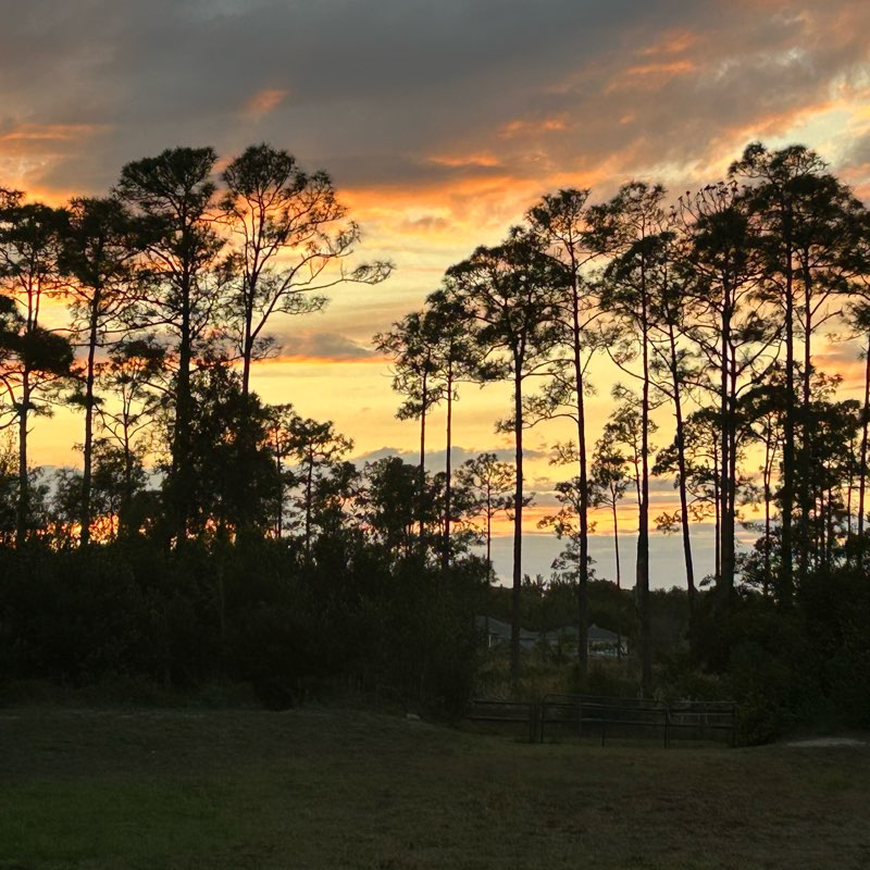 Vida saludable/healthy life. logo