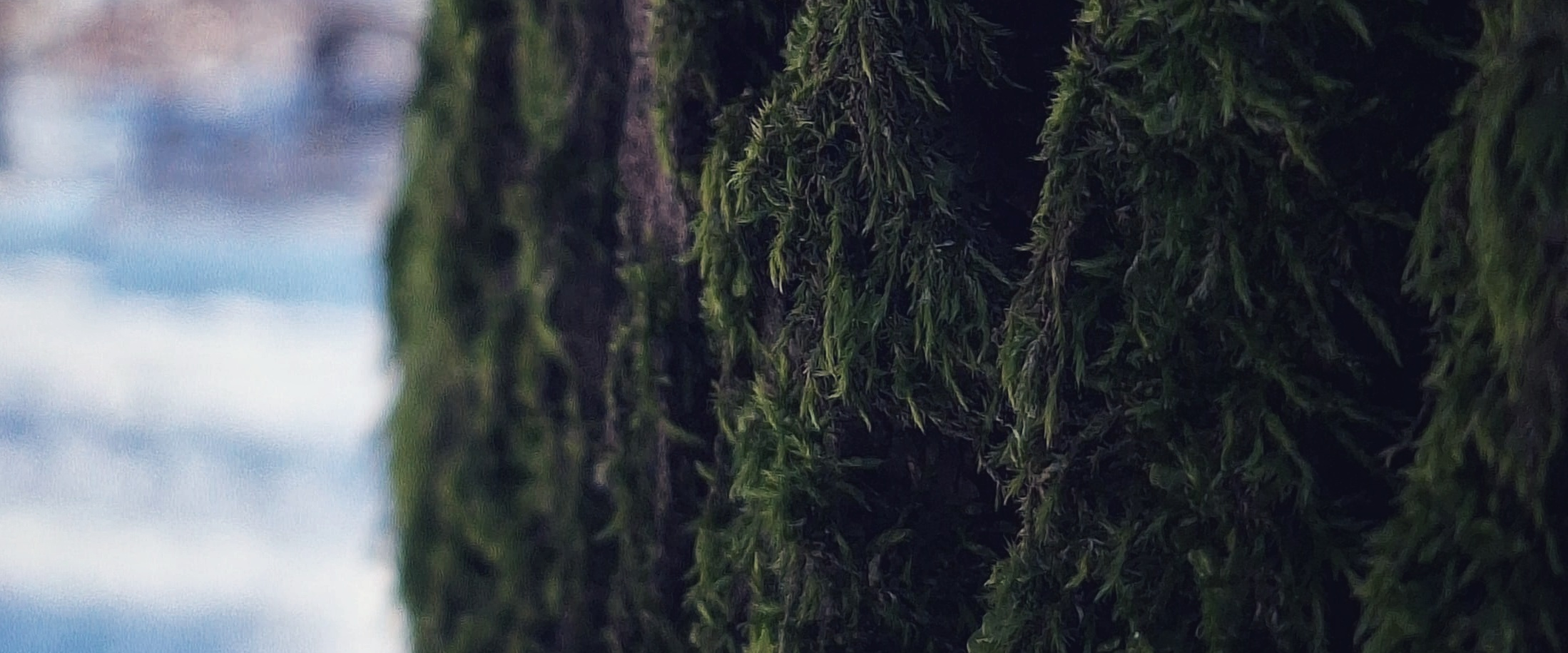 challenge background