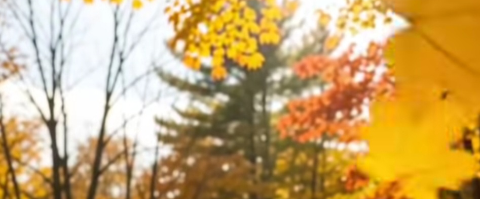 challenge background