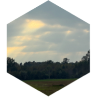 challenge badge