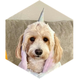 challenge badge